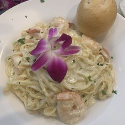 Peyo’s Café - Amazing shrimp Alfredo, best I ever had!