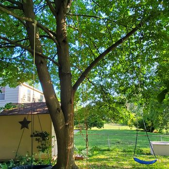 Artica Tree Service - Swings for my daughter to enjoy! - Tree Services Near Me Artica Tree Service - Swings for my daughter to enjoy! - Tree Services Near Me