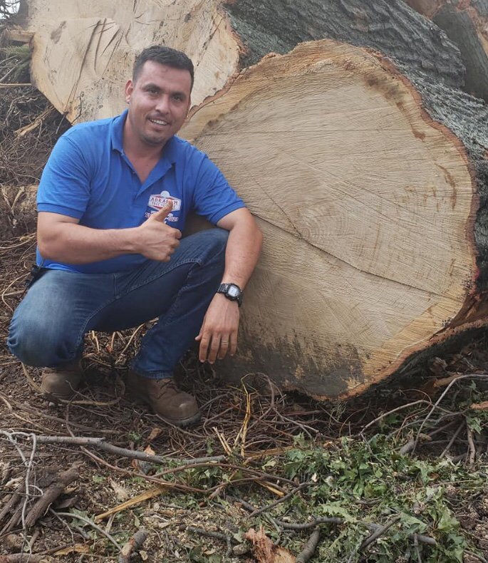 ABRAHAM LANDSCAPING AND TREE SERVICE Updated May 2024 10 Photos