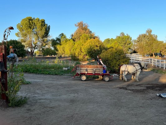 Temecula carriage company by null
