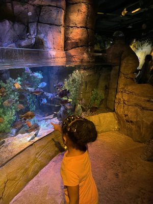 SEA LIFE San Antonio by null