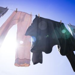 Modern Appliance Repair - U.V. sanitized. It is a fact that U.V. rays have the ability to destroy bacteria, some pathogens, molds, etc.
