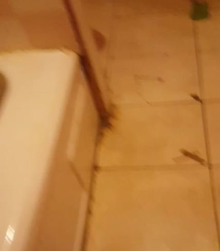 Slide of Roto-Rooter