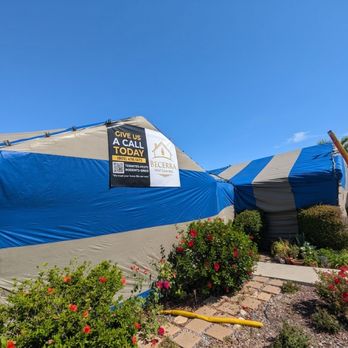 Becerra Pest Control - Give us a call today!! For your free quote (805)478-1472 - Pest Control Near Me Becerra Pest Control - Give us a call today!! For your free quote (805)478-1472 - Pest Control Near Me