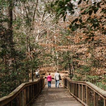 Congaree National Park - Parks Near Me - Hopkins, South Carolina