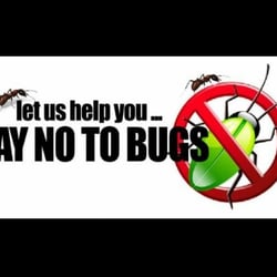 Wallace Pest & Termite