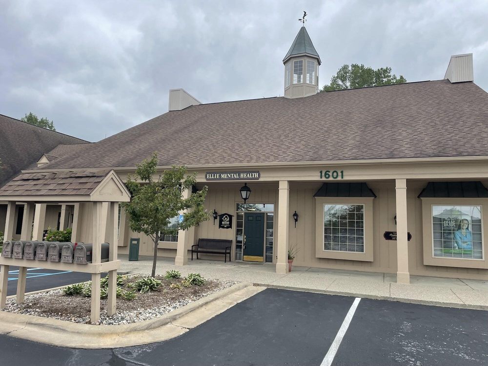 Ellie Mental Health - grief counselor in Ann Arbor, MI