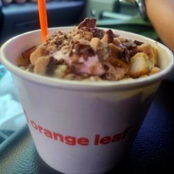 Orange Leaf Frozen Yogurt