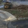 Photo of Vega Landscaping