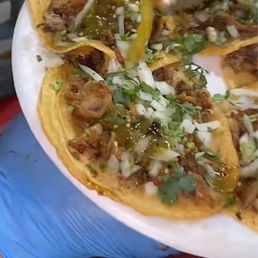 Tripa tacos Tripa tacos
