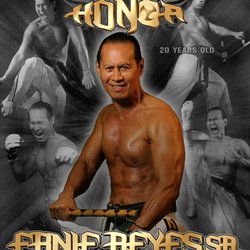 Ernie Reyes' World Martial Arts