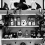 Photo of Sue's Hallmark Shop