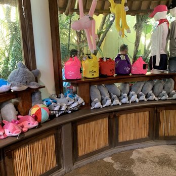 Dolphin Adventure - Gift shop - Amusement Parks Near Me - Nuevo Vallarta, NAY