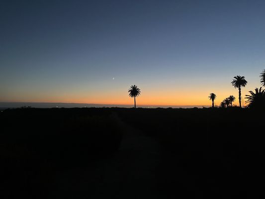 Bolsa Chica Ecological Reserve by null