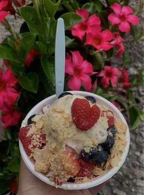 Fabi's Frozen Yogurt by null