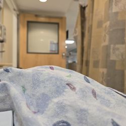 Prince William Hospital - The view for the entire day.