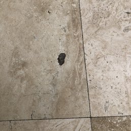Travertine Before Travertine Before