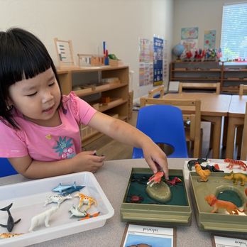 Cosmic Education - Land and Water Forms - Montessori Schools Near Me - Irvine, California Cosmic Education - Land and Water Forms - Montessori Schools Near Me - Irvine, California