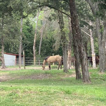 BROKEN BOW RANCH - Updated March 2026 - 45 Photos & 62 Reviews - 1755 E ...