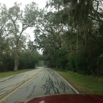 Brazos Bend State Park - Parks Near Me - Needville, Texas Brazos Bend State Park - Parks Near Me - Needville, Texas