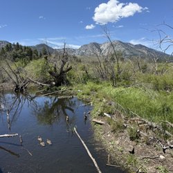 Taylor Creek Visitor Center - Nature