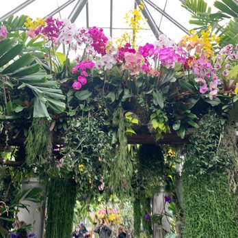 Chicago Botanic Garden - Orchids & other plants - Botanical Gardens Near Me - Glencoe, Illinois