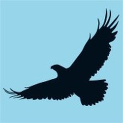 Hawks Estate Agents | Ealing and West London
