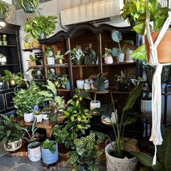 Forage and Cultivate