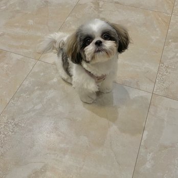 Pet Pourrie - Pet Groomers Near Me - Boca Raton, Florida Pet Pourrie - Pet Groomers Near Me - Boca Raton, Florida