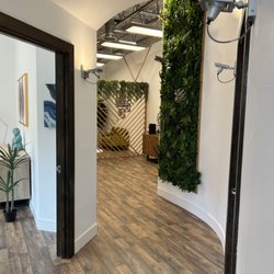 Verve Health