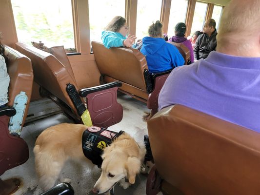 Bluegrass Scenic Railroad and Museum by null