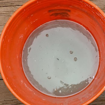 Residential Finer Cleaning - The water after WE cleaned ourselves - Home Cleaning Near Me Residential Finer Cleaning - The water after WE cleaned ourselves - Home Cleaning Near Me
