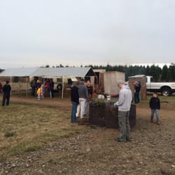 Tracy's Christmas Tree Farm