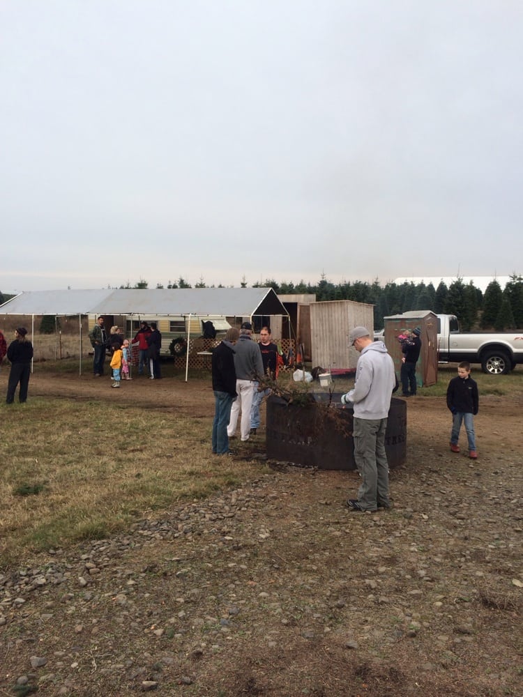 TRACY’S CHRISTMAS TREE FARM Updated September 2024 18198 South