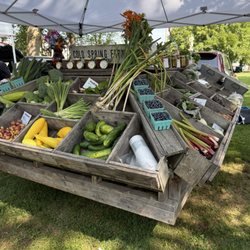 Colchester Farmers Market - Fruits & veggies