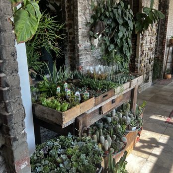 Seed To Stem - Antiques Near Me - Worcester, Massachusetts