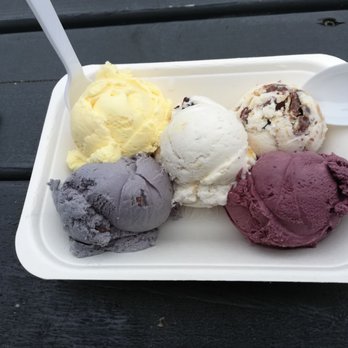 Lake Effect Artisan Ice Cream - Sampler of 5 flavors - Ice Cream & Frozen Yogurt Near Me - Buffalo, New York