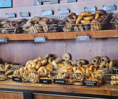 Joey's Bagels - Fletcher by null