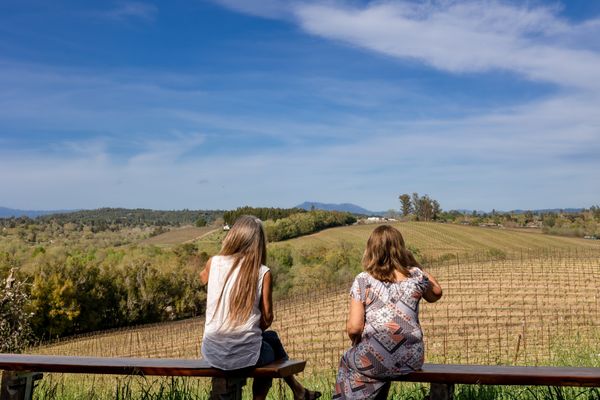 Iron Horse Vineyards by null