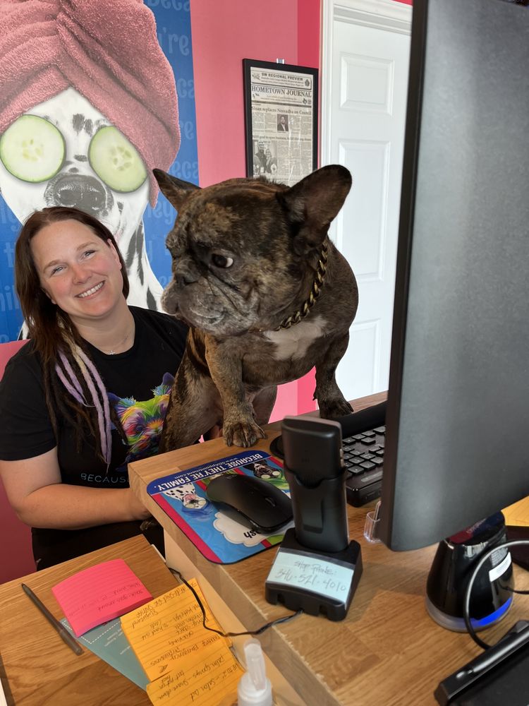 SPLASH AND DASH Updated October 2024 13513 University Blvd, Sugar