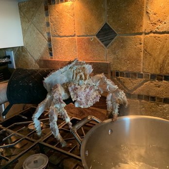 OC Wild Seafood - Box crab going into my pot . - Seafood Markets Near Me OC Wild Seafood - Box crab going into my pot . - Seafood Markets Near Me
