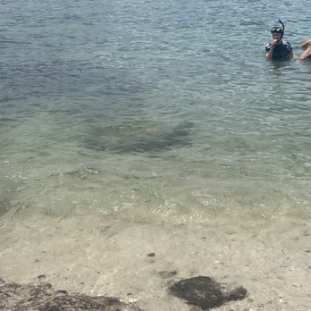 Hawaii Turtle Tours - Snorkeling with turtles - Tours Near Me - Honolulu, Hawaii