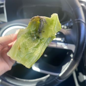 WaBa Grill - Rotting cabbage - Fast Food Near Me - Castaic, California WaBa Grill - Rotting cabbage - Fast Food Near Me - Castaic, California