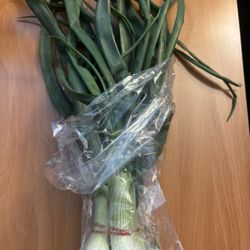 Walla Walla Onions