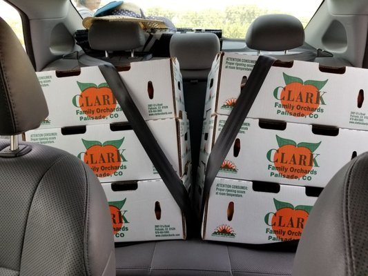 Clark Family Orchards by null