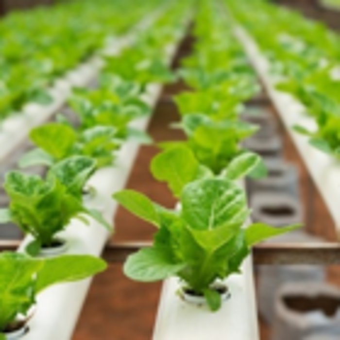 HYDRO PERFORMANCE 1299 Avenue de la Gare, Mascouche, Quebec