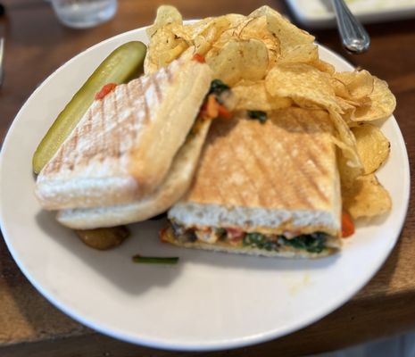 The Backyard by null