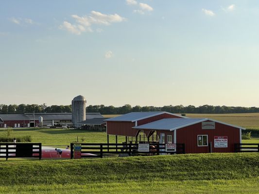 Chaney's Dairy Barn by null
