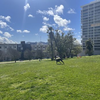 Lafayette Park - Dog Parks Near Me - San Francisco, California Lafayette Park - Dog Parks Near Me - San Francisco, California