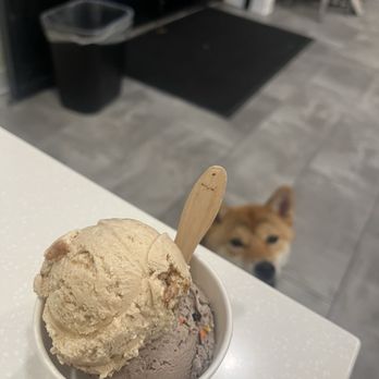 Sweet Scoops Homemade Ice Cream - Oreo sprinkle + cookie butter - Ice Cream & Frozen Yogurt Near Me - Fullerton, California Sweet Scoops Homemade Ice Cream - Oreo sprinkle + cookie butter - Ice Cream & Frozen Yogurt Near Me - Fullerton, California